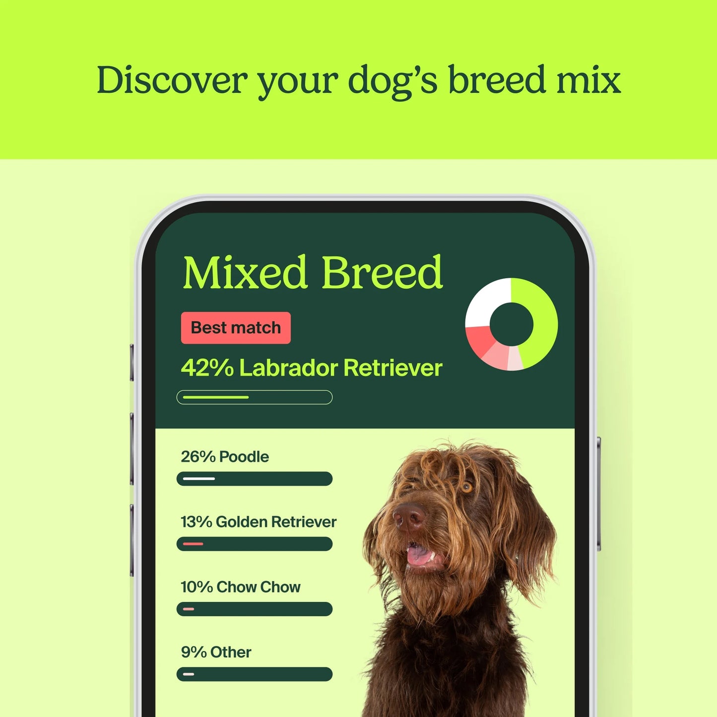 Pet DNA by : Dog DNA Breed Identification Test, Genetic Traits, DNA Matches, Dog DNA Test