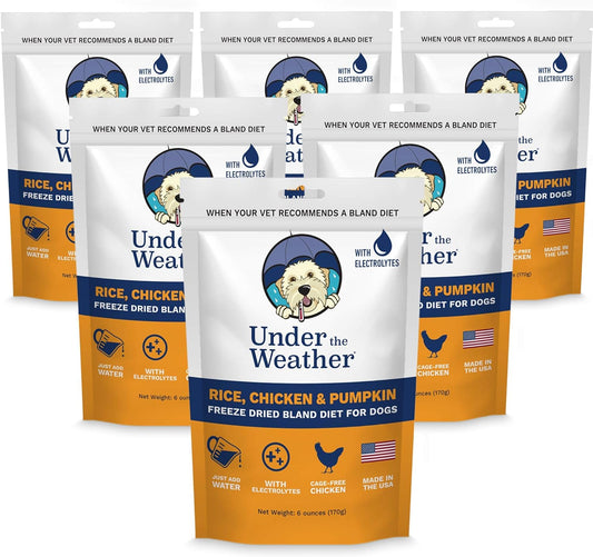 Bland Diet for Dogs | Easy to Digest for Sick Dogs |Always Be Ready | Contains Electrolytes - All Natural Freeze Dried 100% Human Grade Meats | 6 Pack - Rice, Chicken & Pumpkin - 6Oz
