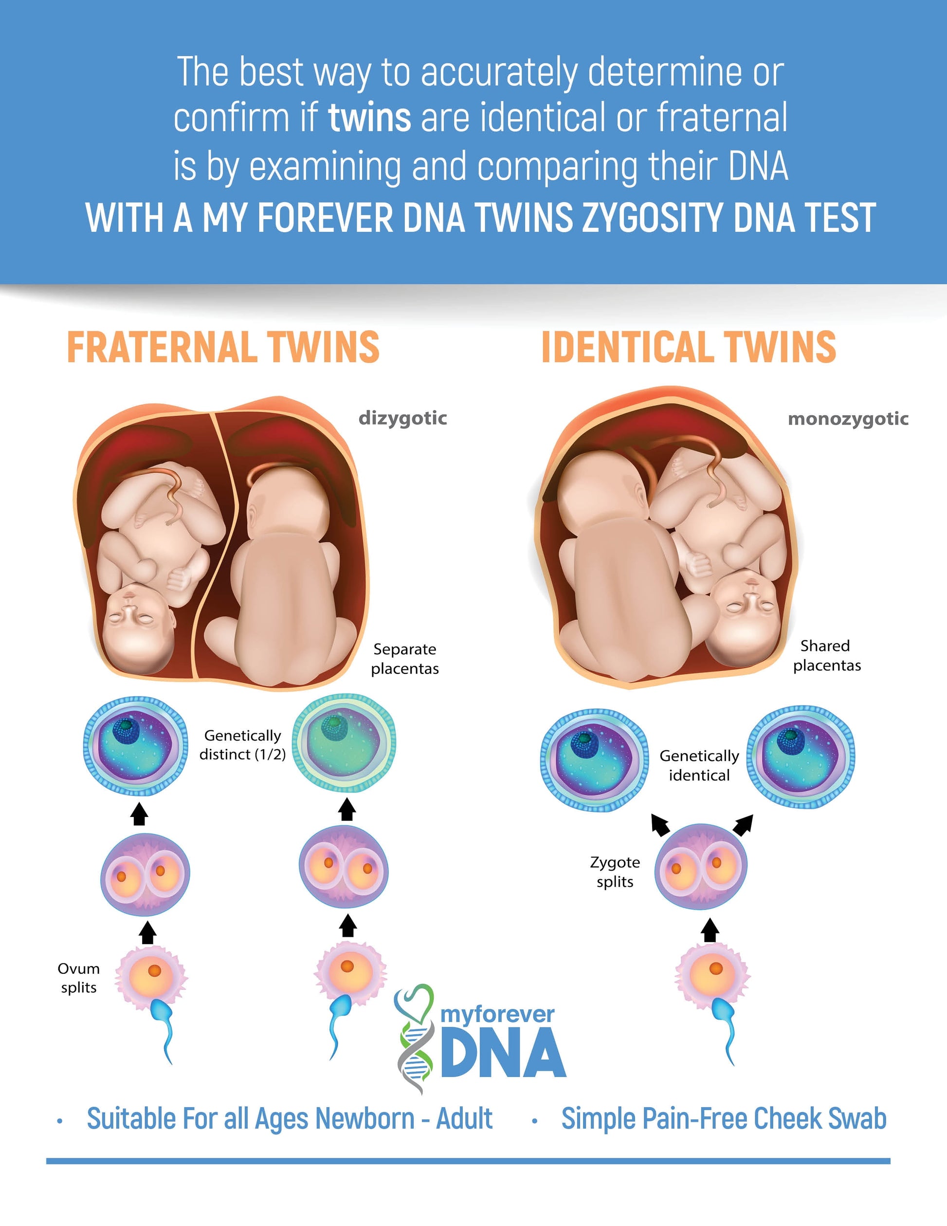 Twin Home DNA Test Kit, Lab Fees & Shipping Included -
