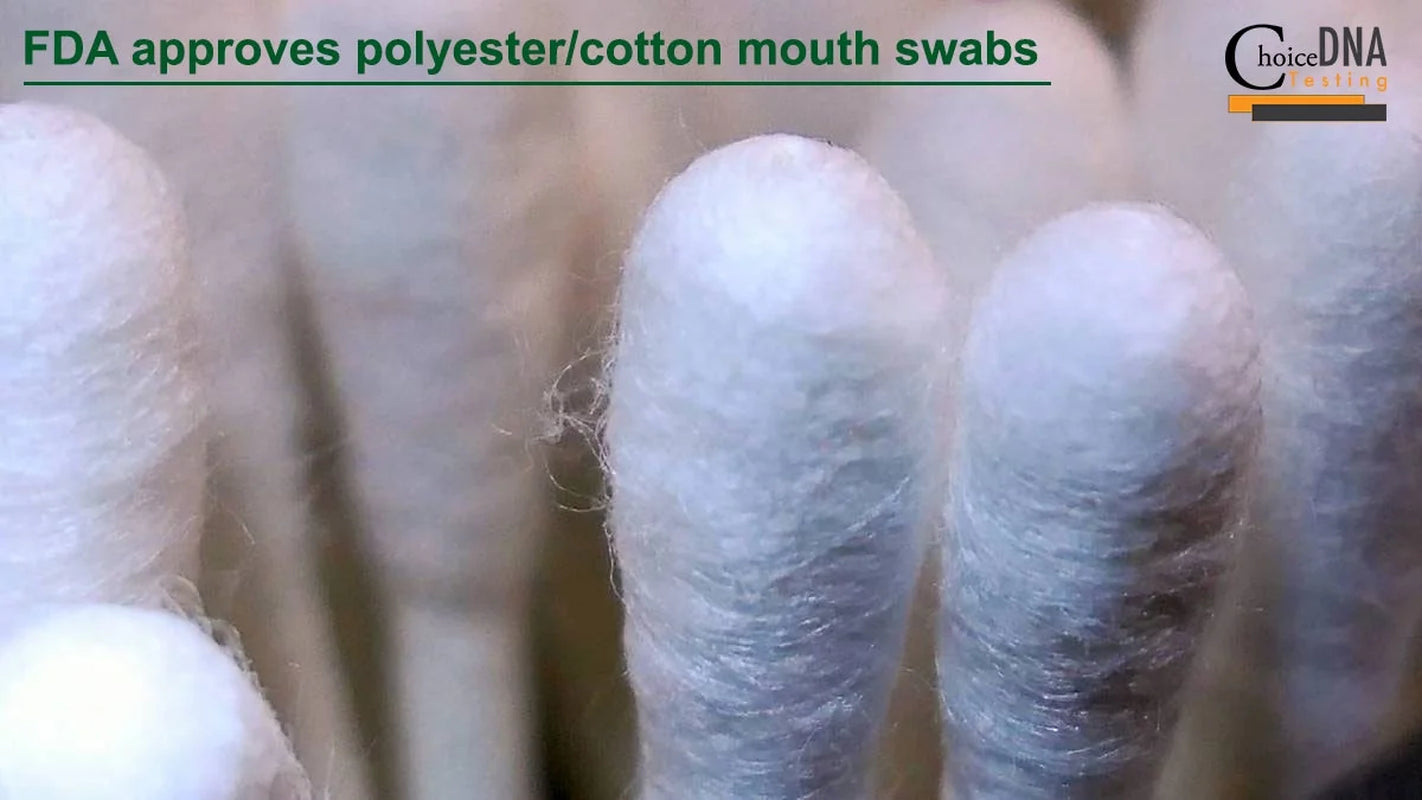 DNA Home Grandparent Test Kit - Grandmother or Grandfather & 1 Child