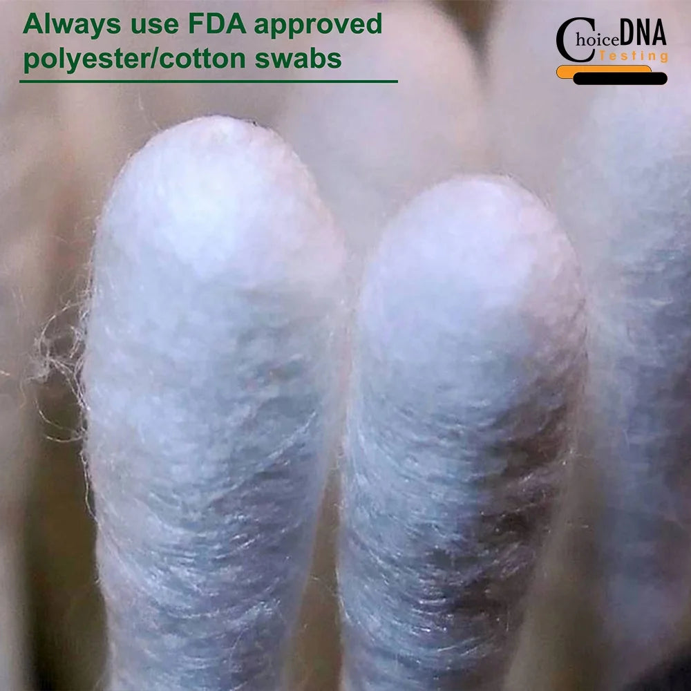 Choice DNA Lab Home Paternity DNA Test Kit